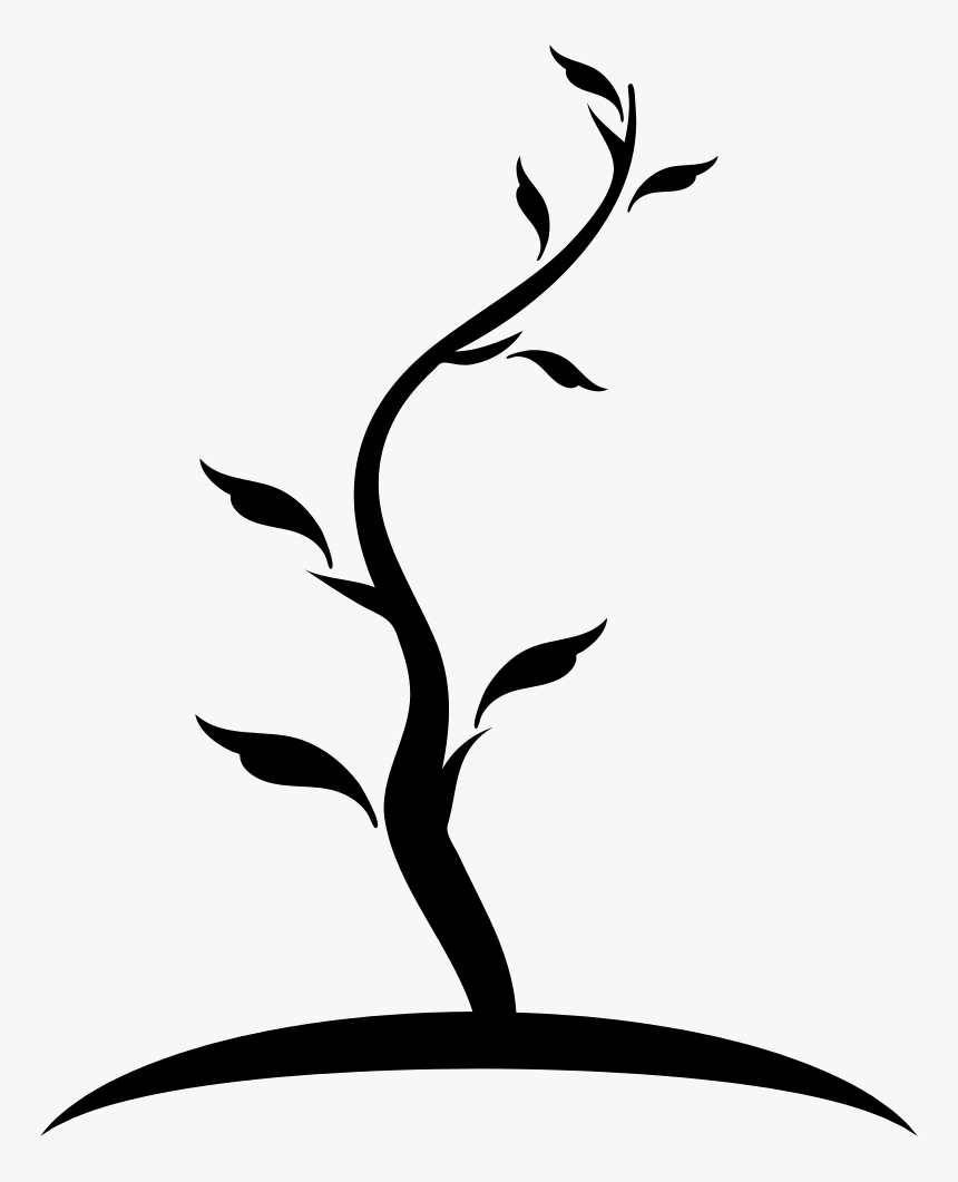 Tree Thin Shape Of Young Trunk With Few Leaves - Arbol Dibujo Y Tronco, HD Png Download