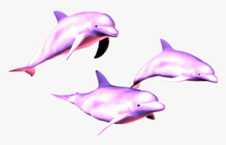 Mq Pink Dolphin Dolphins Animal - Vaporwave Dolphin Png, Transparent Png