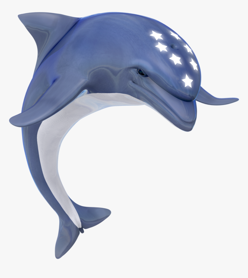 Ecco The Dolphin Transparent, HD Png Download