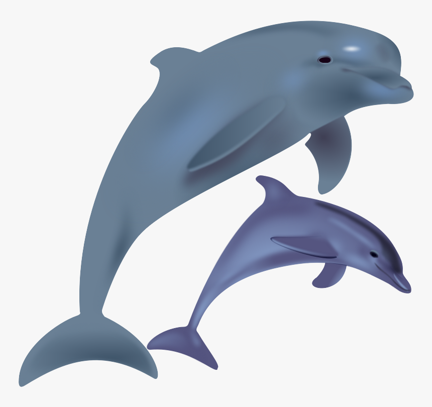 Free To Use Public Domain Dolphin Clip Art - Dolphin Clipart, HD Png Download