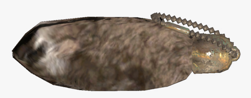 Sole, HD Png Download