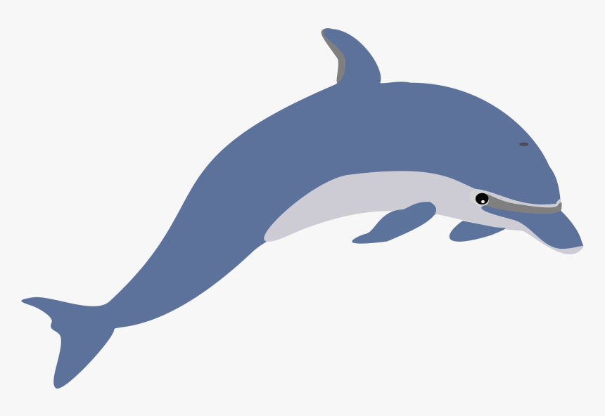 Dolphin Clip Art Pictures - Dolphin Clipart, HD Png Download