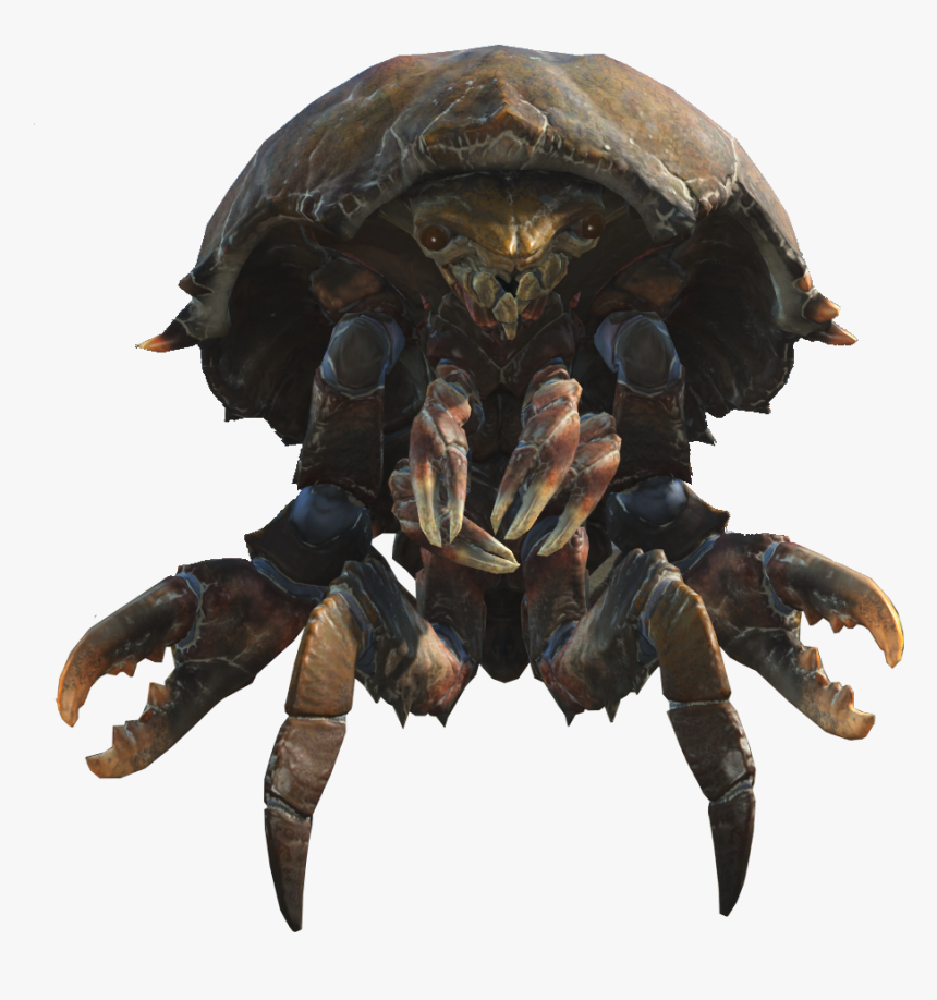 Mirelurk Fallout 4, HD Png Download