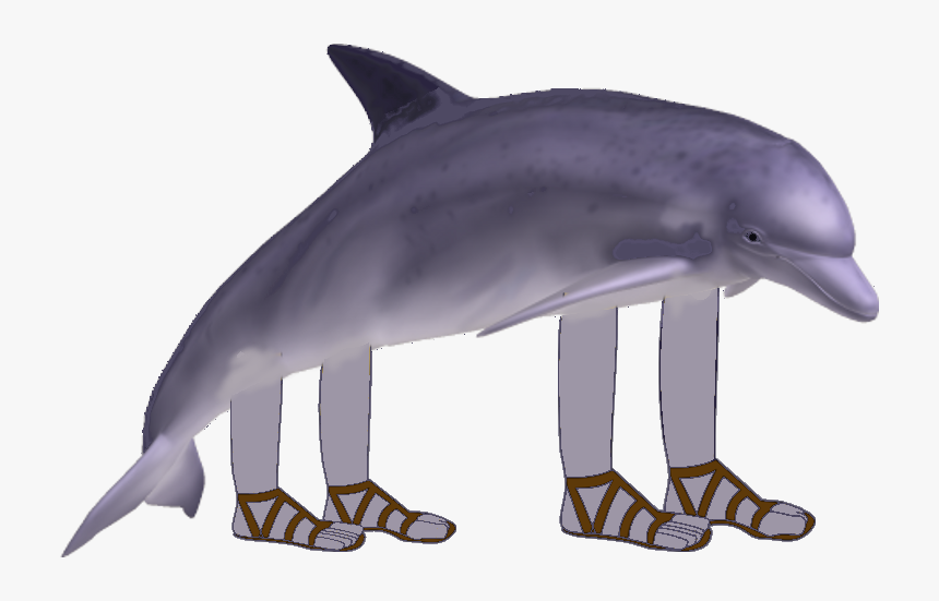 Clip Art Pet Dolphins - Dolphin With Arms And Legs, HD Png Download