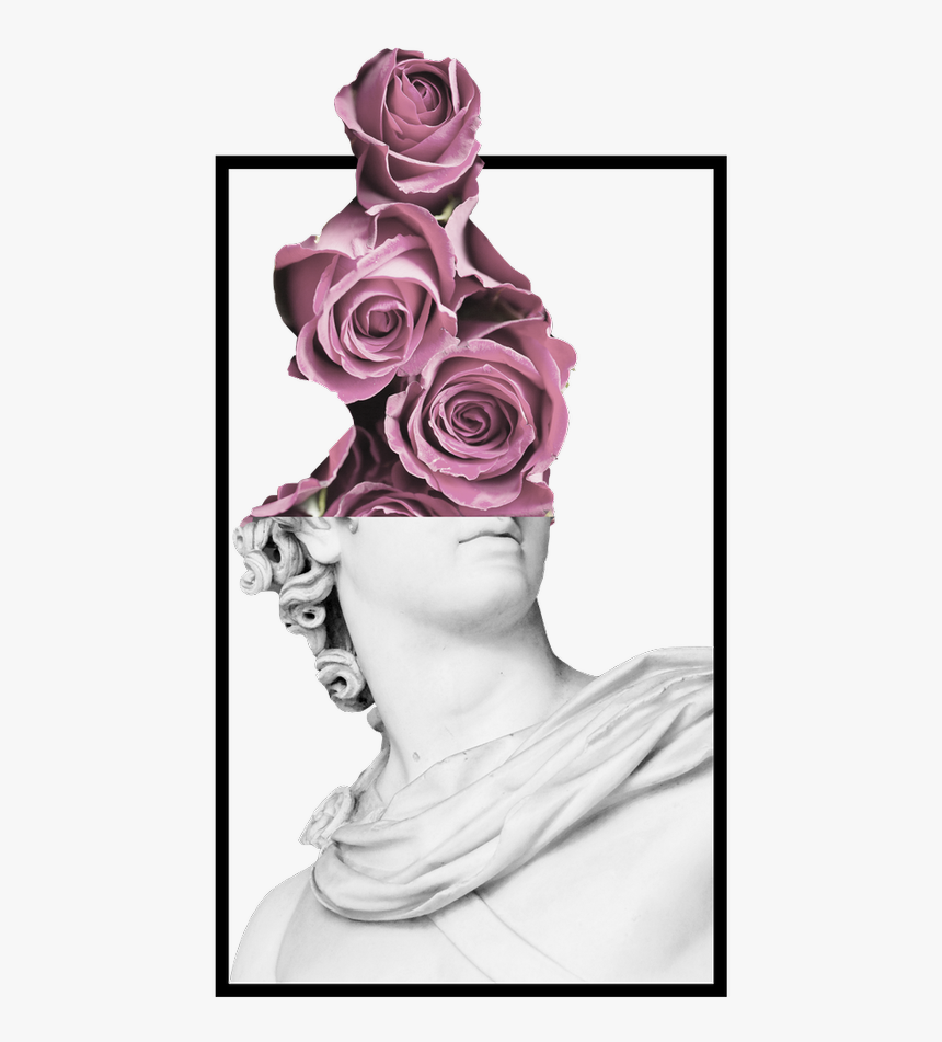 Floribunda, HD Png Download