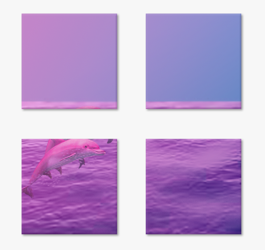 Magneto Dolphin De Renan Oliveirana - Common Dolphins, HD Png Download