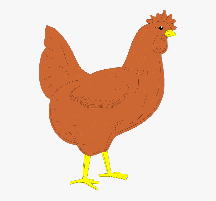 Chicken Leg Clipart 3, Buy Clip Art - Brown Rooster Clipart, HD Png Download