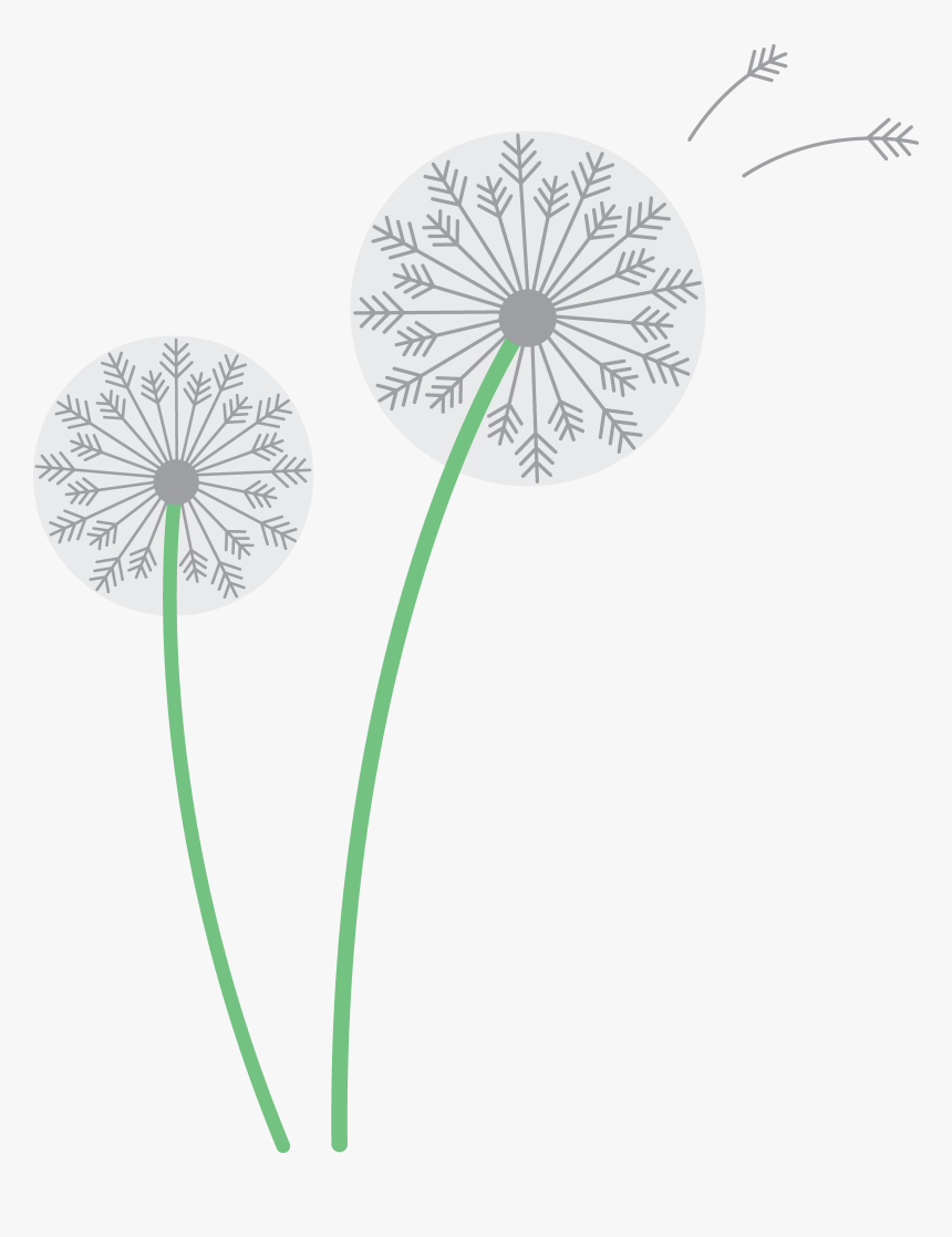 Dandelion, Png V - White Dandelion Clipart, Transparent Png