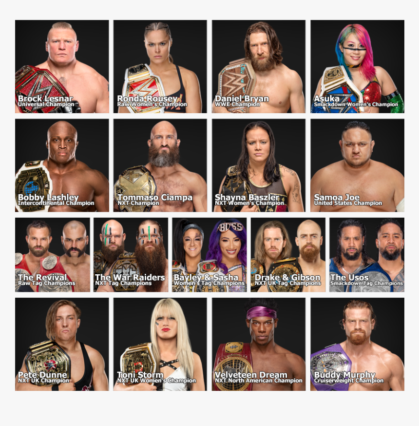 Transparent Daniel Bryan 2014 Png - Wwe Nxt Uk Women's Champion Kay Lee Ray, Png Download