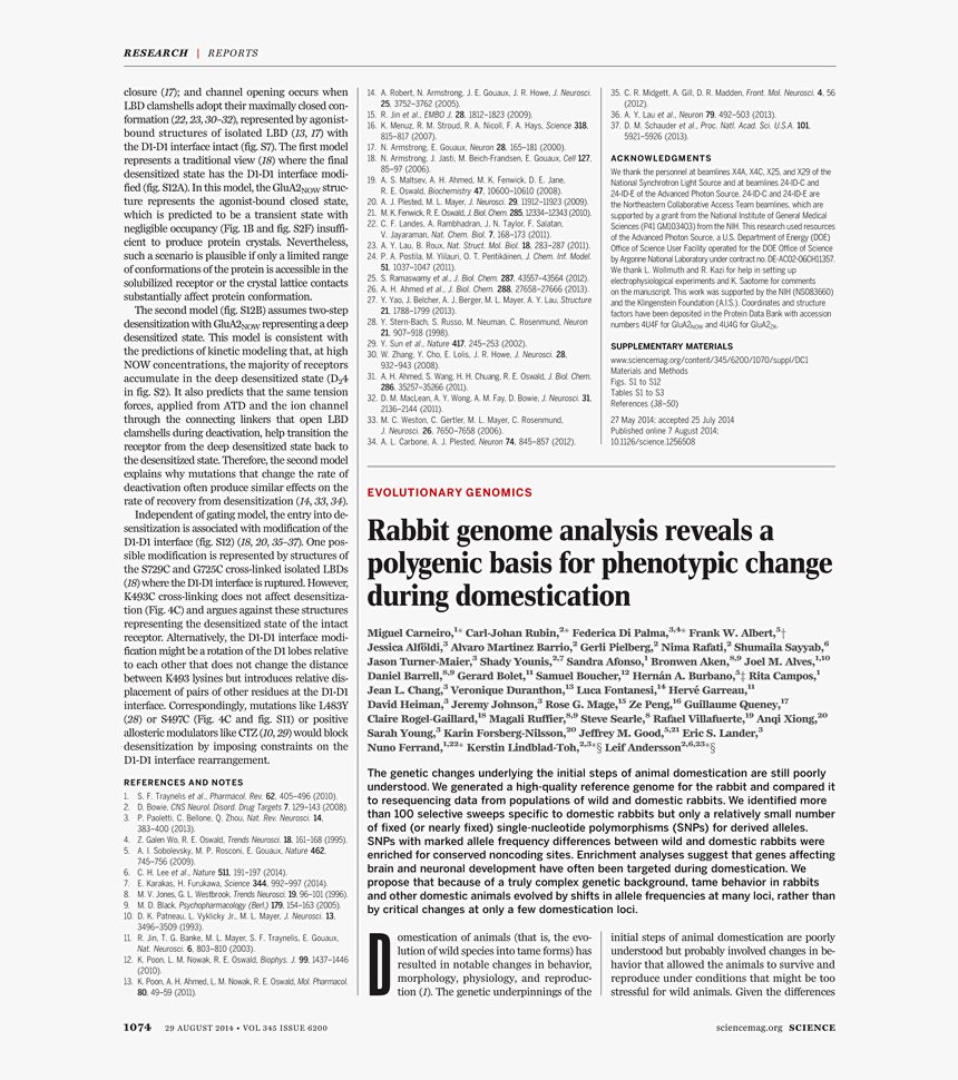 Transparent Daniel Bryan 2014 Png - Folio Nine From Burchard Of Sion's De Locis Ac Mirabilibus, Png Download