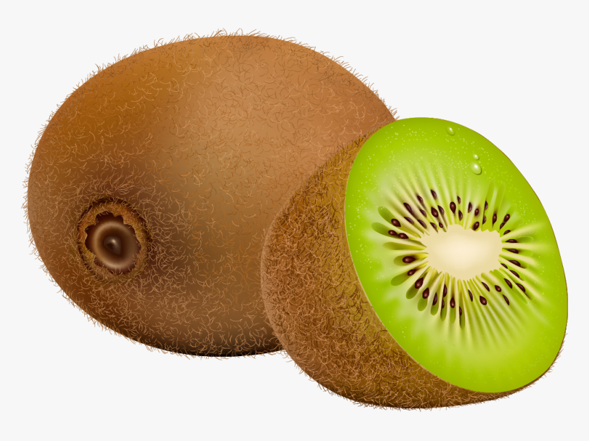 Fruits Clipart Png Kiwi Clipart, Transparent Png , Transparent Png