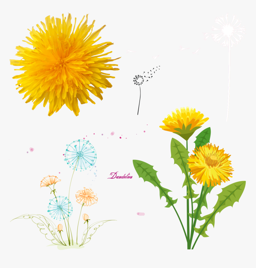 Dandelions - Dandelion Art Yellow, HD Png Download