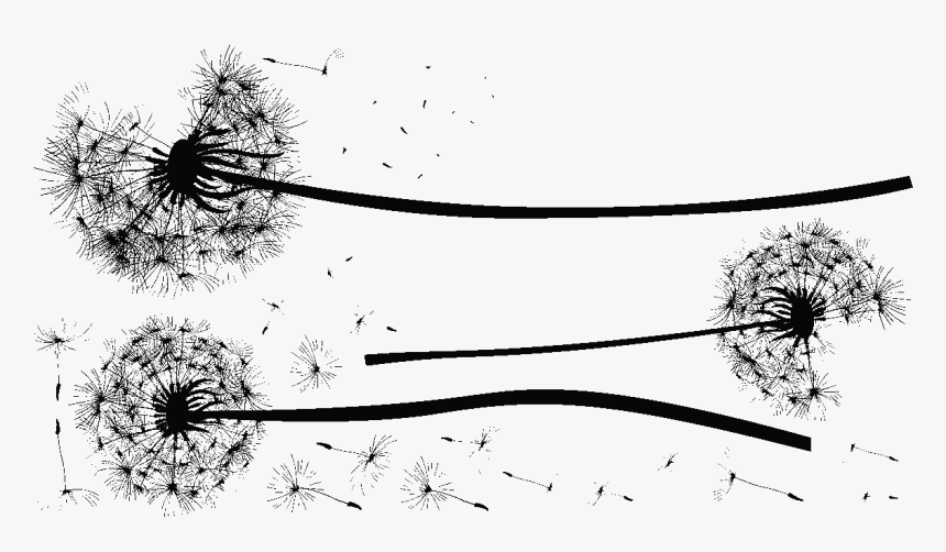 Sticker Fleurs Pissenlits Envoles Ambiance Sticker - Illustration, HD Png Download
