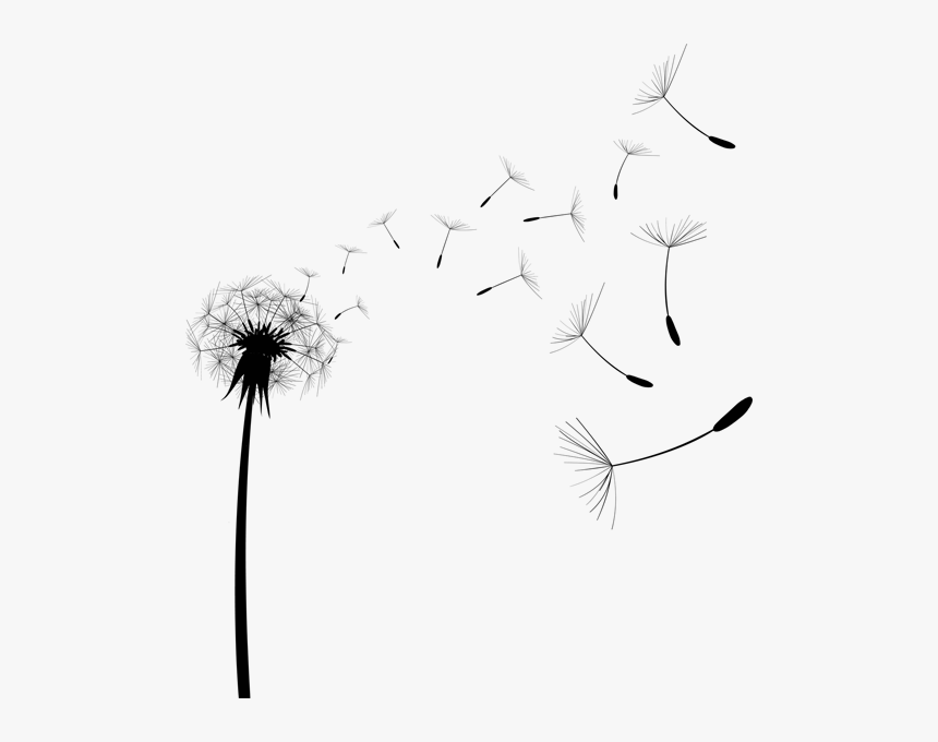 Common Dandelion Pissenlit Tattoo, HD Png Download