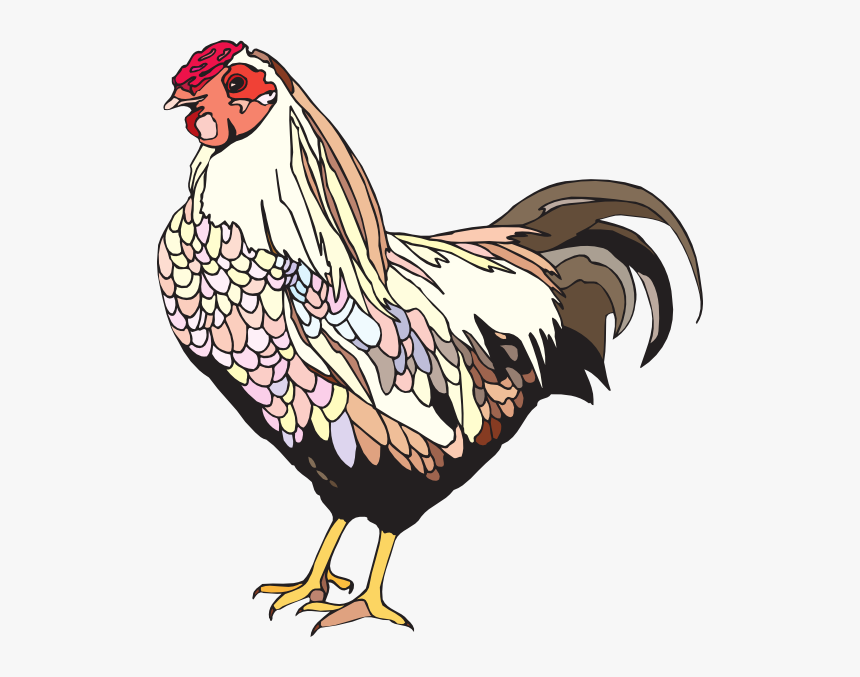 Female Chicken Png, Transparent Png