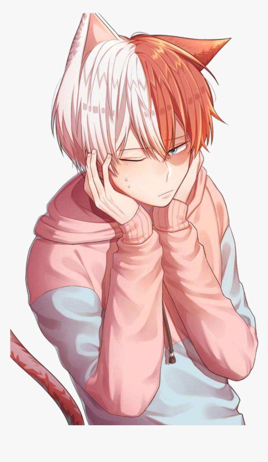 Transparent Todoroki Shouto Png - Shouto My Hero Academia, Png Download