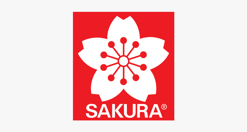 Sakura Of America, HD Png Download