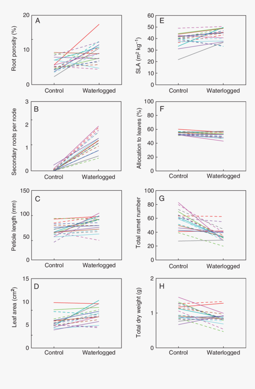 Diagram, HD Png Download