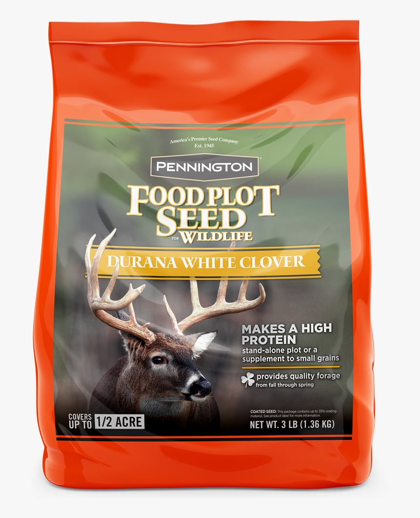 Elk, HD Png Download