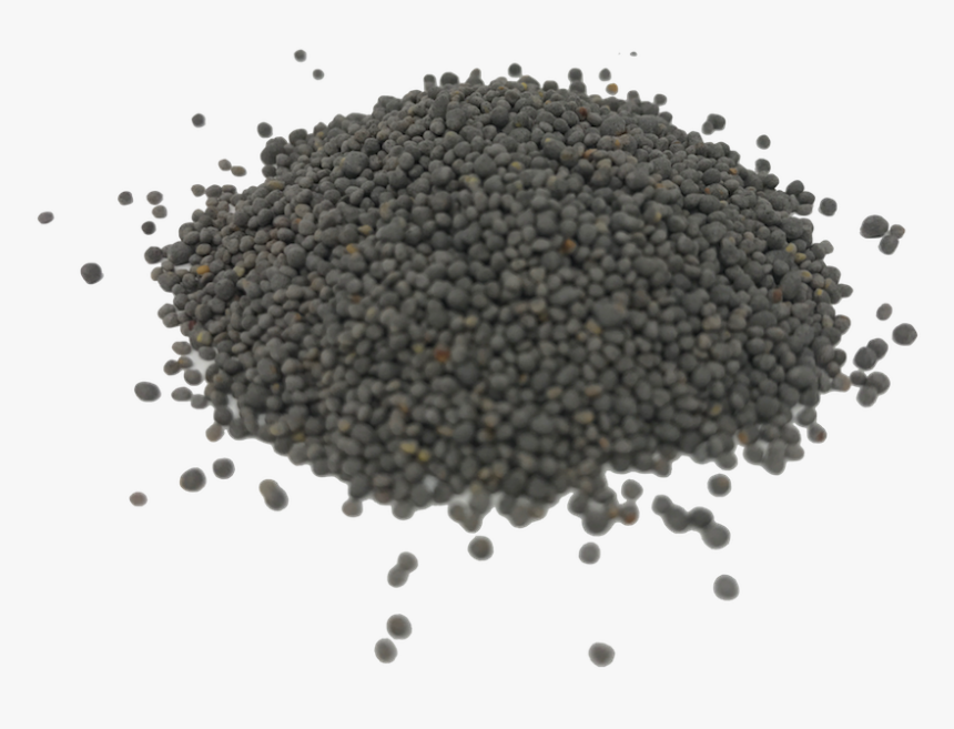 Untreated White Clover Cover Crop - Cover Crop Seeds Png, Transparent Png