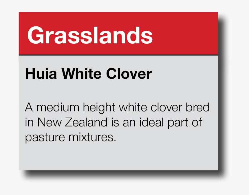 Grasslands - Employmentcrossing, HD Png Download