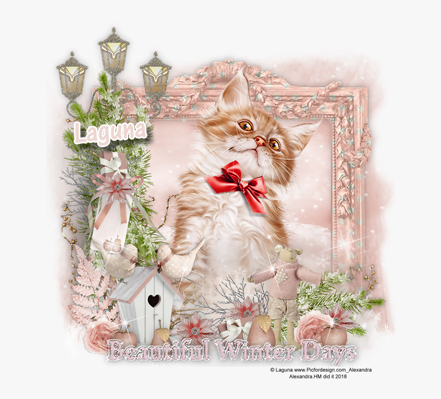 Kitten, HD Png Download