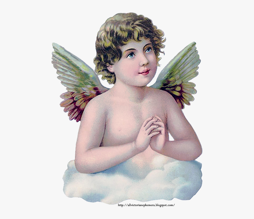 Praying Child Angel Scrap - Fairy, HD Png Download