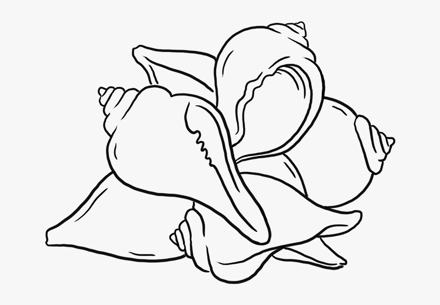Sketch, HD Png Download