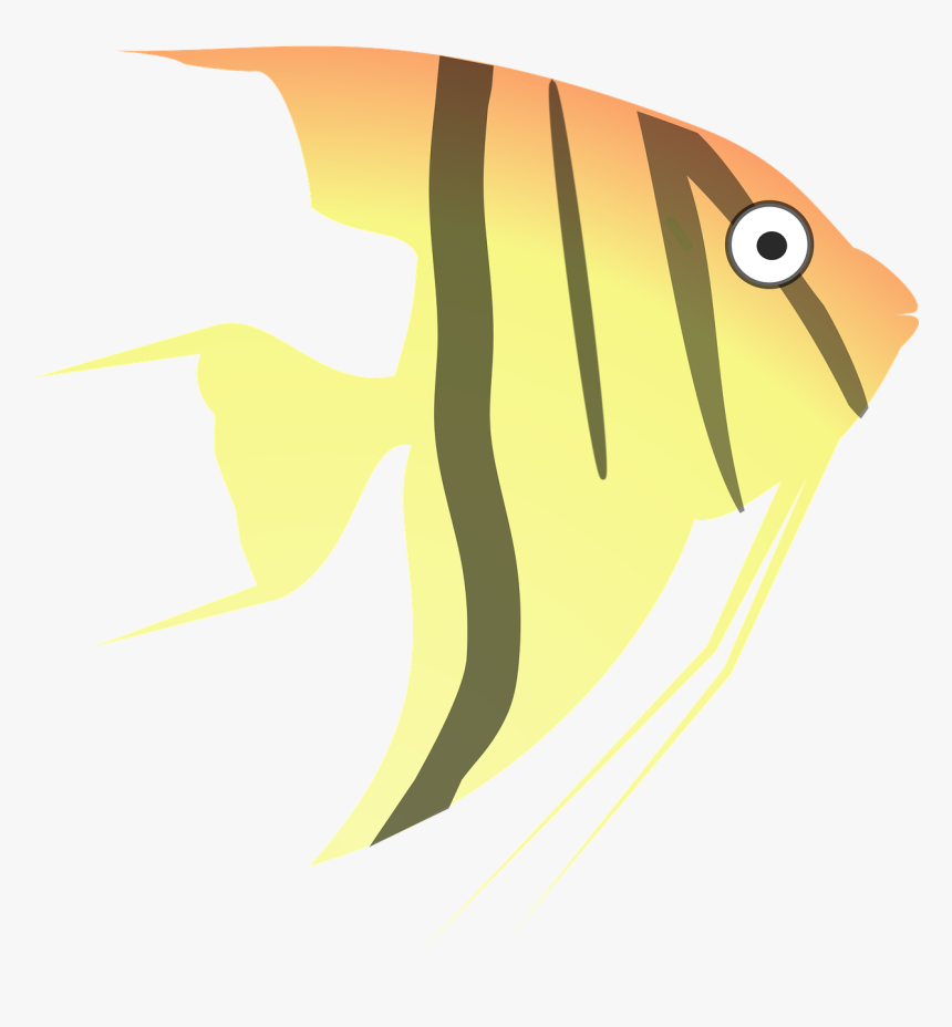 Angel Fish Clip Png Images - Clipart Angelfish, Transparent Png