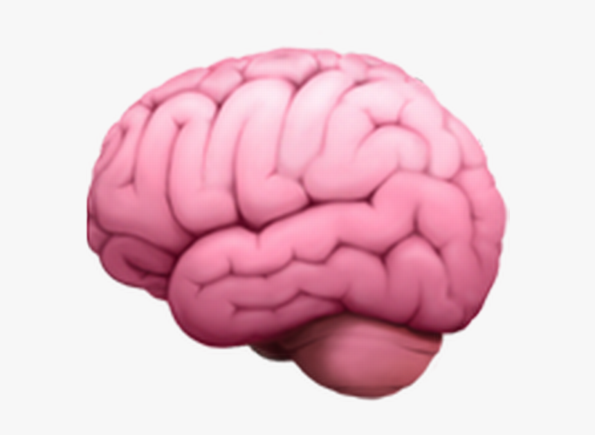 Brain Emoji Png, Transparent Png , Transparent Png Image PNGitem