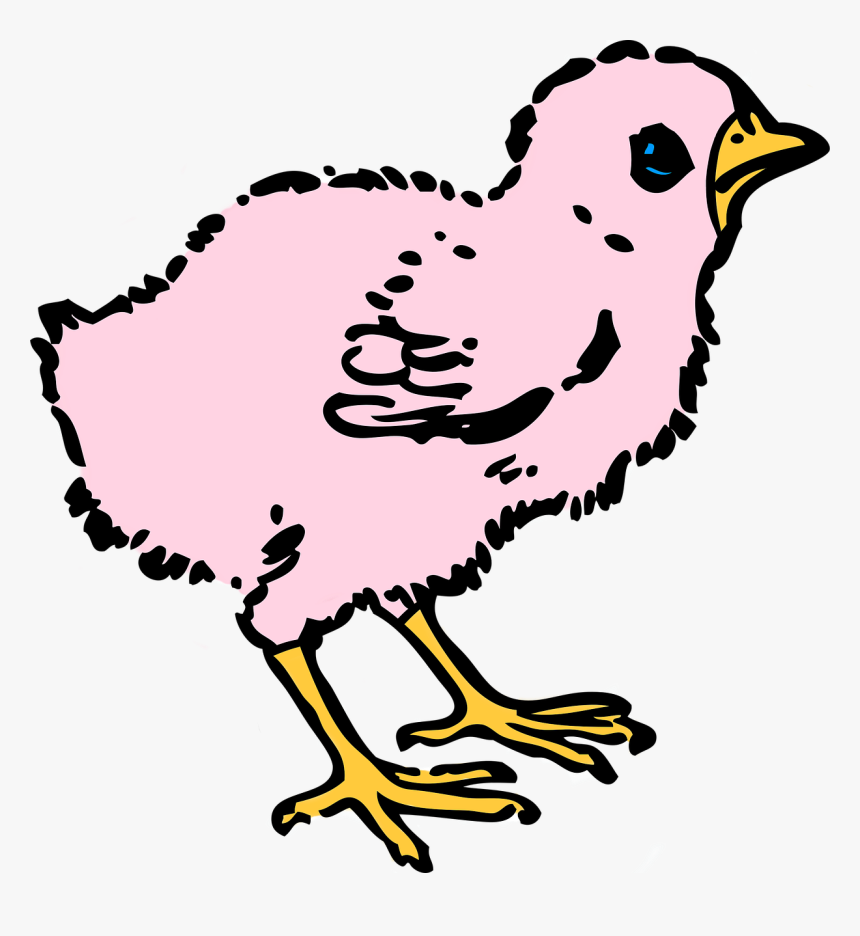 Baby Hen Clipart Black And White, HD Png Download