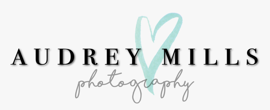 Audrey Mills Photography - Paul Van Ostaijen, HD Png Download