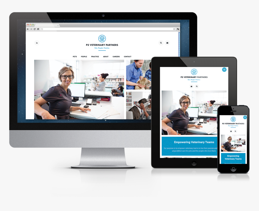 P3 Veterinary Partners - Information System Design Service, HD Png Download