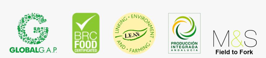 Sellos Y Certificaciones Escobi - Sign, HD Png Download