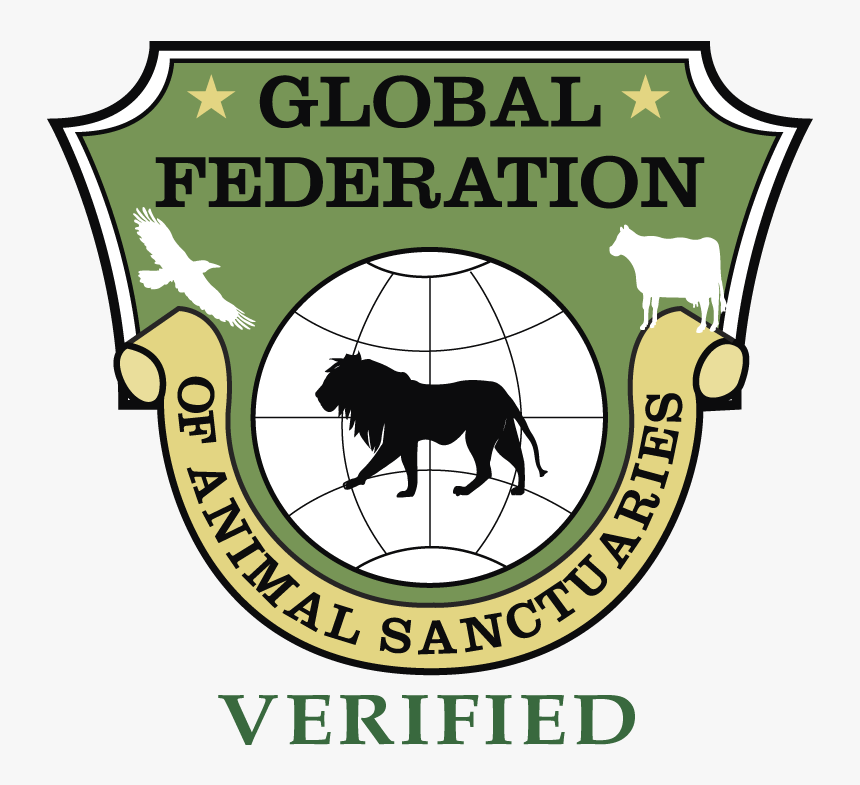 Transparent Pride Rock Png - Global Federation Of Animal Sanctuaries, Png Download