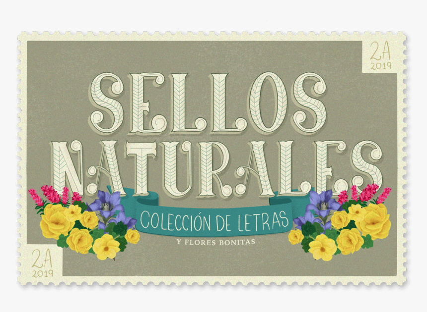 Logo - Pansy, HD Png Download