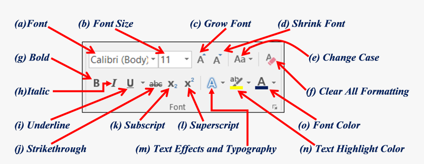 Text Formatting In Ms Word, HD Png Download
