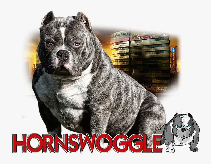 Cordoba Fighting Dog, HD Png Download