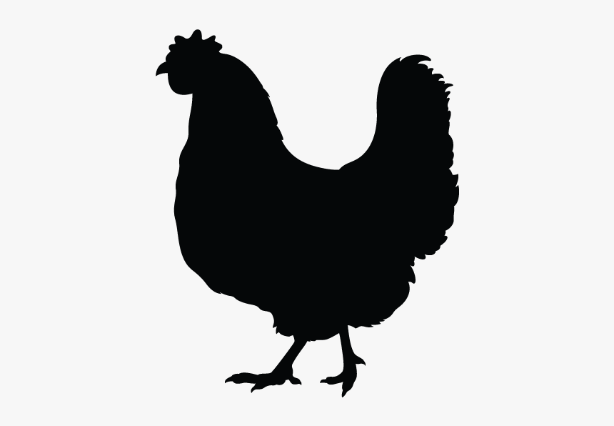Simple Rooster Silhouette - Simple Chicken Black And White Clipart, HD Png Download