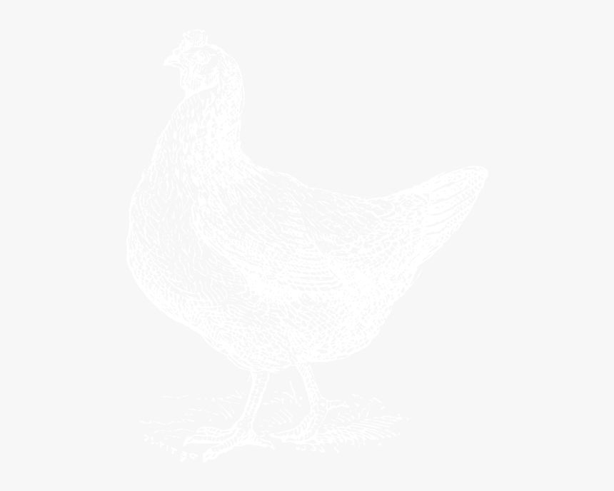 Chicken3 - Chicken, HD Png Download