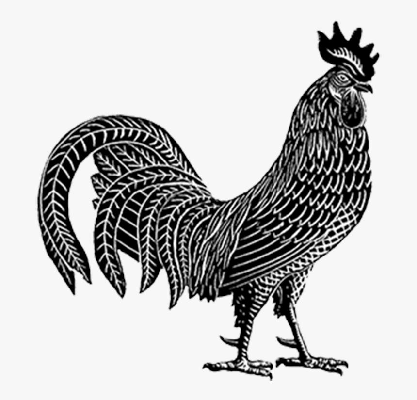 Bress-chicken - Bress Winery, HD Png Download