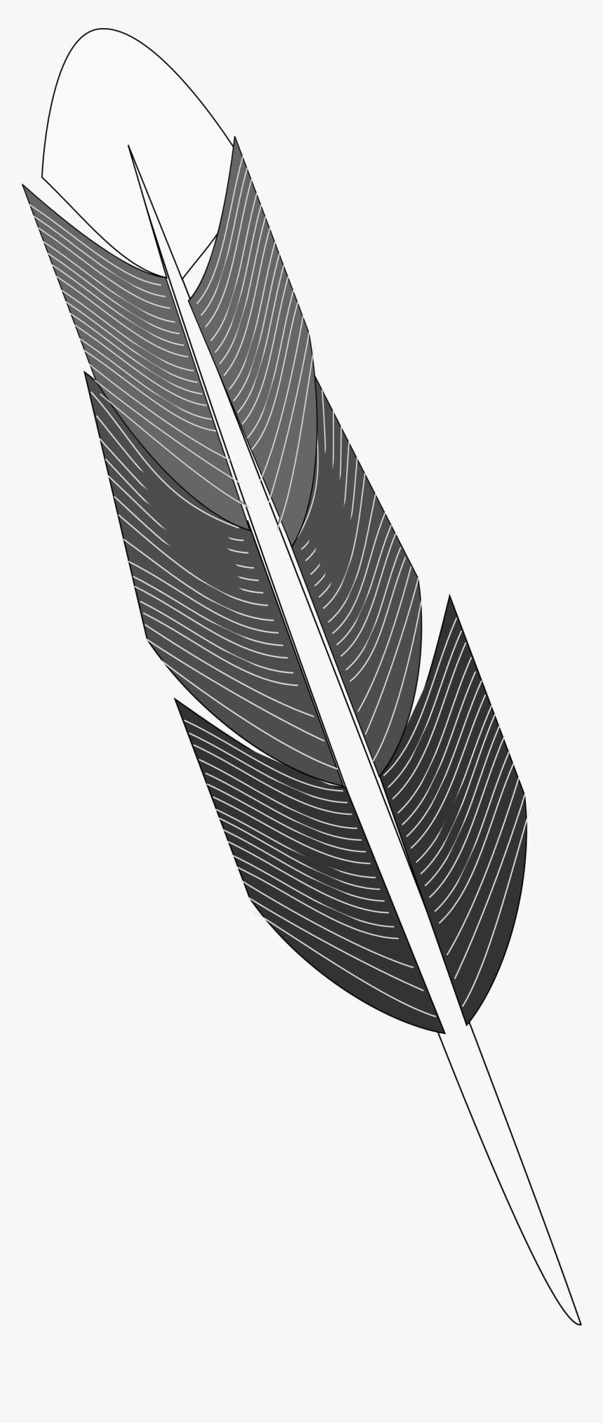 Grayscale Feather Clip Arts - Grayscale Feather, HD Png Download