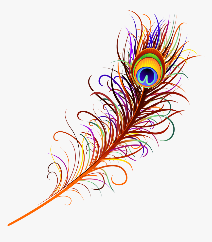 Peacock Feather Free Png Image - Peacock Feather Png Vector, Transparent Png