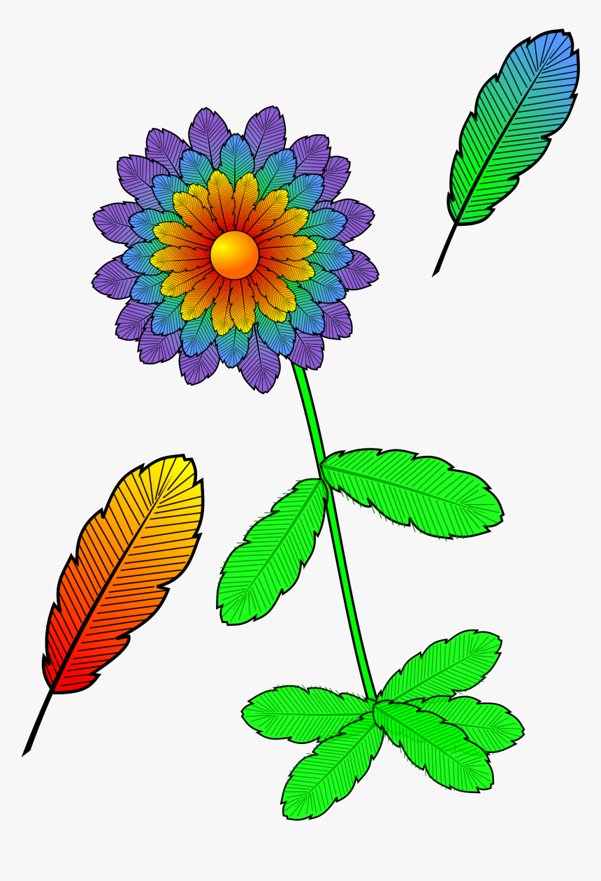 Flower And Feather - Clip Art, HD Png Download