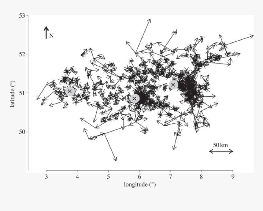 Diagram, HD Png Download