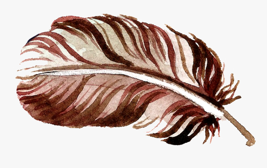 Chocolate Feather Transparent Free - Flower, HD Png Download