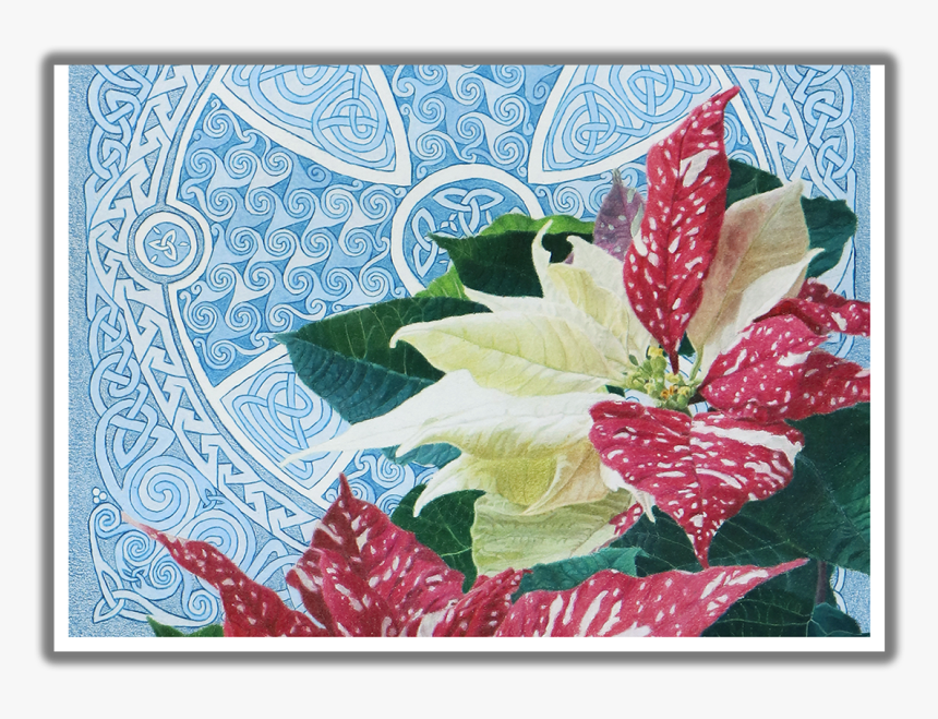 Good Tidings Of Great Joy Poinsettia Christmas Card - Anthurium, HD Png Download