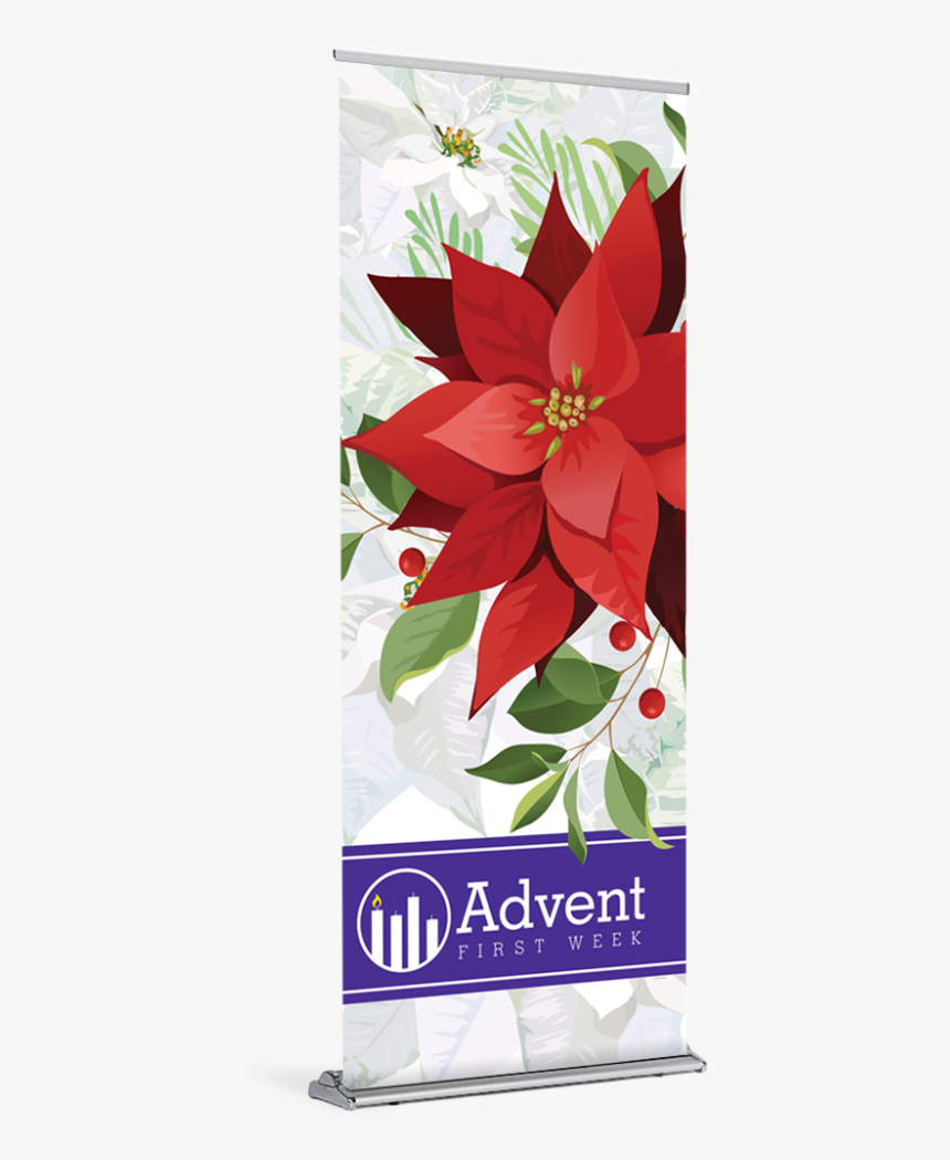 Tap To Expand - Poinsettia, HD Png Download