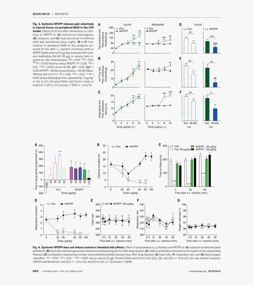 Diagram, HD Png Download