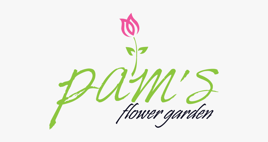 White Poinsettia Png, Transparent Png